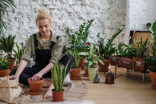 How Gardening can improve wellbeing
